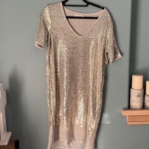Velvet by Graham and Spencer Nala Sequin Dress